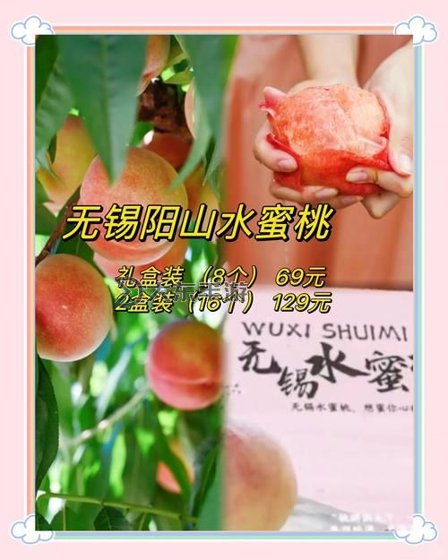 水蜜桃探店記：尋味新鮮甜蜜的桃園之旅圖1