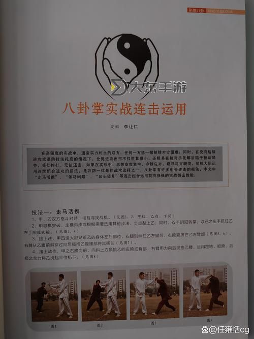 桃花島是外功還是內(nèi)功：揭秘武學(xué)中的真諦圖1