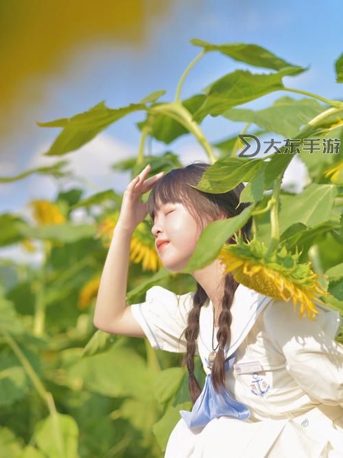 樂芭蕾絲草莓向日葵視頻在線:美麗田園風(fēng)景與少女舞蹈的完美結(jié)合圖1