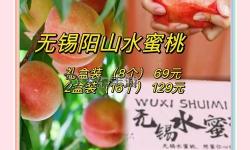 水蜜桃探店記：尋味新鮮甜蜜的桃園之旅