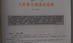 桃花島是外功還是內(nèi)功：揭秘武學(xué)中的真諦