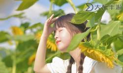 樂芭蕾絲草莓向日葵視頻在線：美麗田園風(fēng)景與少女舞蹈的完美結(jié)合