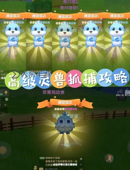 造三神獸森林能抓什么：揭秘神秘森林中的捕捉指南圖1