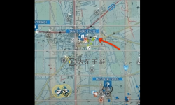 上單雷霆咆哮怎么打：實(shí)用技巧與戰(zhàn)術(shù)指南