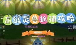 造三神獸森林能抓什么：揭秘神秘森林中的捕捉指南