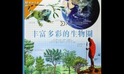 探索豐富多彩的個(gè)人免費(fèi)視頻資源指南