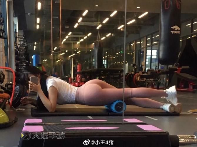 探索蜜臀久久99精品久久久久久白楊根的魅力與奧秘圖1