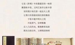 帳中香廣播免費(fèi)聽入口：暢享優(yōu)質(zhì)音樂體驗(yàn)