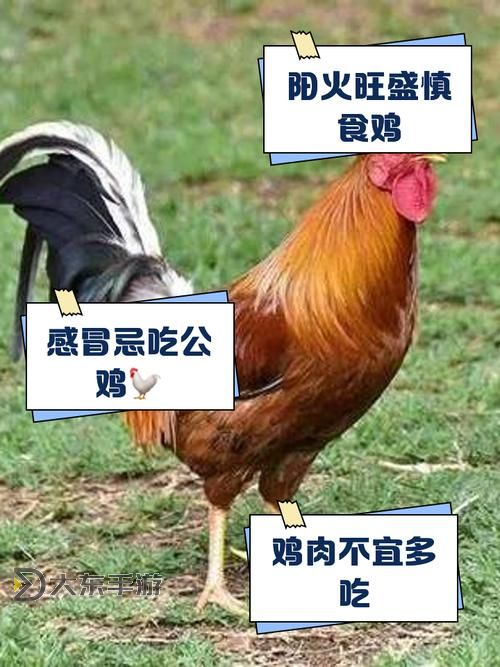 用嘴巴吃雞有什么好處和壞處呢:全面解析其影響與利弊圖2