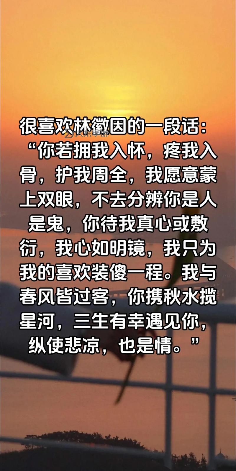 走一步撞一下,濕透許安愉:意外中的笑聲與溫暖圖2