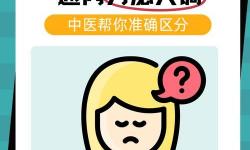 綜合一和綜合二圖片區(qū)別在哪：詳解差異與區(qū)分方法