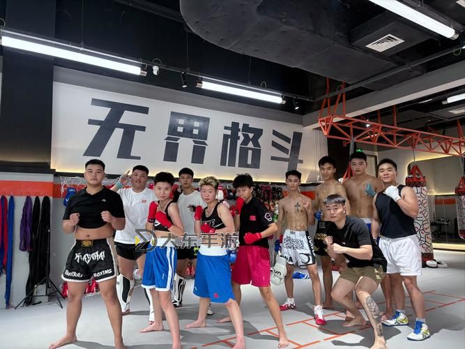 探索男格斗家四個職業(yè)：格斗專家、武術(shù)大師、格斗運動員與近戰(zhàn)戰(zhàn)士圖2