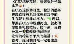 熱血無賴公寓里怎么弄槍：實(shí)用秘籍與安全指南