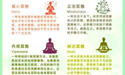 揭秘讓腫瘤消失的打坐方法：科學(xué)與心靈的奇跡之旅