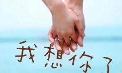 每日更新海角在線：第一手精彩內(nèi)容持續(xù)呈現(xiàn)