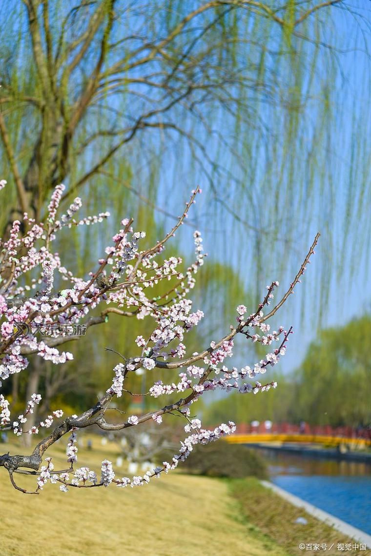 “實(shí)現(xiàn)夢(mèng)想的承諾：探索中國(guó)夢(mèng)之聲的未來(lái)之聲”圖1