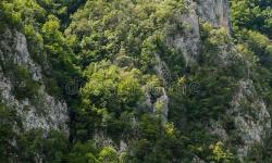 造夢西游3混色劑怎么得：獲取方法詳解