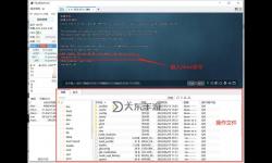 揭秘永久免費Linux服務器：零成本暢享穩(wěn)定高效的云端解決方案