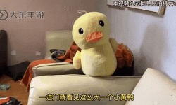 小黃鴨免費(fèi)觀看在線網(wǎng)站視頻：免費(fèi)在線觀看可愛小黃鴨動(dòng)態(tài)秀