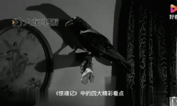 探索歡樂時光：五月丁香電影帶你今夏免費觀看精彩影片
