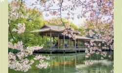 探索春日浪漫：5月天激情片帶你領(lǐng)略春光無限