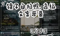 鏡子PO中的針鋒相對：映射出真實的自我