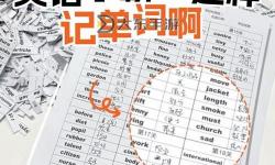 坐在學(xué)霸的大紫根上背單詞牧童：趣味中的學(xué)識(shí)之旅