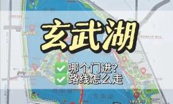 玄武島在哪找法蓮？詳細位置指南解析
