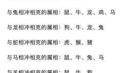 全面解析龍斗士屬性相克表：策略與技巧指南