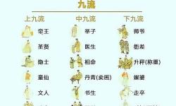 武道九品體系劃分詳解：從入門到巔峰的等級(jí)劃分
