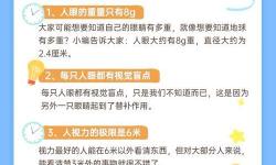 人眼可以看清無(wú)限的東西嗎：探尋視覺(jué)極限與無(wú)限的奧秘