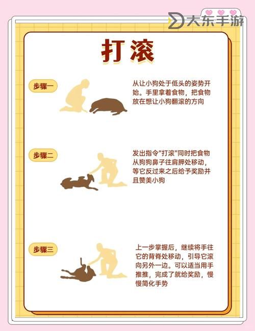 怎么讓狗狗進(jìn)入自己的房間門的有效方法與技巧圖1