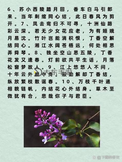 亭亭玉立國(guó)色天香六月份丁香視頻賞析圖1