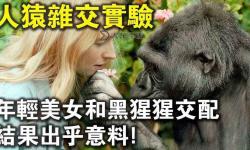 探索人與動物的共性全部視頻：人性與生命的共鳴