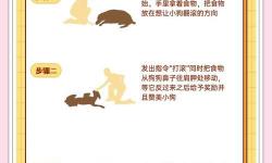 怎么讓狗狗進入自己的房間門的有效方法與技巧