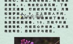 亭亭玉立國(guó)色天香六月份丁香視頻賞析