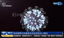 奧密克戎再次變異引發(fā)新一輪疫情擔(dān)憂