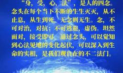 每天打坐一小時三年后：身心的奇跡與蛻變