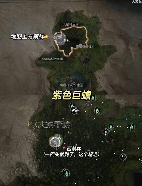 閃光尼奧在哪兒捕捉：最佳地點與技巧推薦圖1