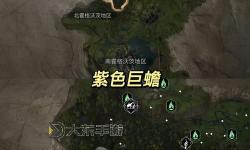 閃光尼奧在哪兒捕捉：最佳地點(diǎn)與技巧推薦