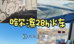 長(zhǎng)途車(chē)臥鋪?zhàn)詈笠慌藕茳S：旅途中的奇異景象與思考