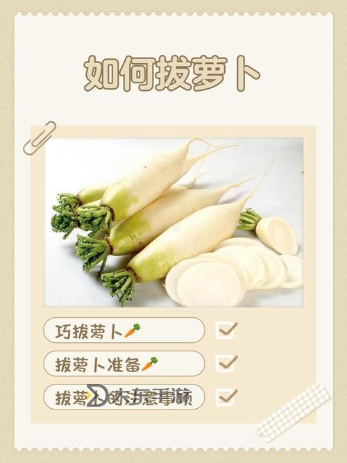探索樂趣：如何錄制一個(gè)有趣的正確的拔蘿卜視頻圖1