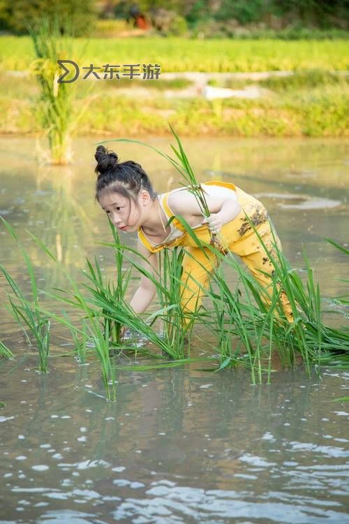 高清完整觀看指南：谷原希美在線觀看全攻略圖2