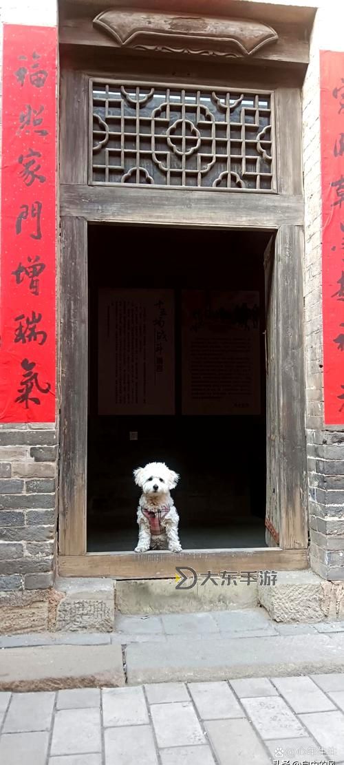 怎么讓狗狗進(jìn)入自己的房間門(mén)的有效方法大全圖1