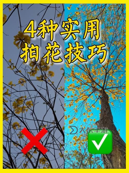 問(wèn)道魂珠怎么用：詳細(xì)操作指南與實(shí)用技巧圖2