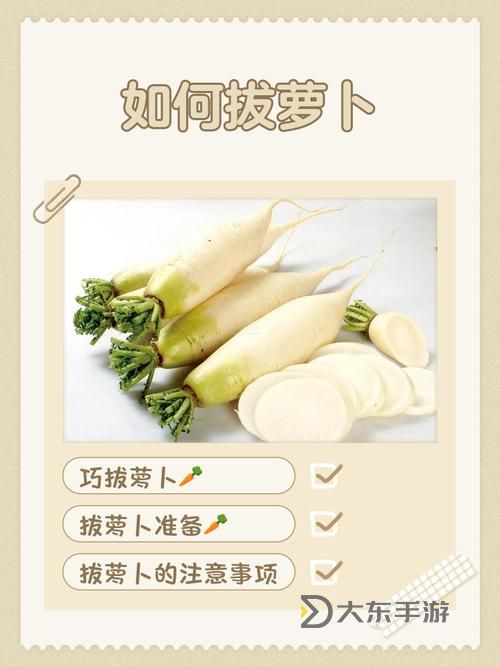 探索樂趣：如何錄制一個有趣的正確的拔蘿卜視頻圖2