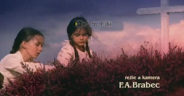 野花免費(fèi)觀看視頻6:精彩內(nèi)容全揭曉圖1