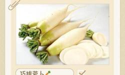 探索樂趣：如何錄制一個有趣的正確的拔蘿卜視頻