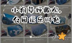 探索趣味娛樂(lè)時(shí)光，小色狗中文娛樂(lè)網(wǎng)帶你領(lǐng)略精彩內(nèi)容