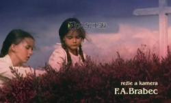 野花免費(fèi)觀看視頻6：精彩內(nèi)容全揭曉